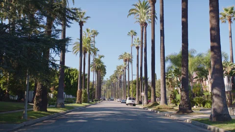 LA Beverly Hills 11 Stock Footage 276916895