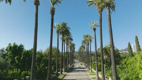 LA Beverly Hills 4 Stock-Footage 276917086