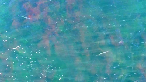 LA BOCANA BCS MEXICO-2022: Water | Stock Video | Pond5