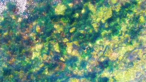 LA BOCANA BCS MEXICO-2022: Sea Water | Stock Video | Pond5