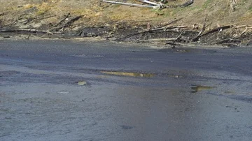 La Brea Tar Pits bubbling. Oil spill lake, Los Angeles. Stock Footage 86097505