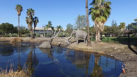 La Brea Tar Pits Stock Footage 85966781