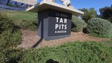 La Brea Tar Pits Stock Footage 85966843