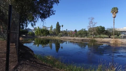 La Brea Tar Pits Stock Footage 85966844