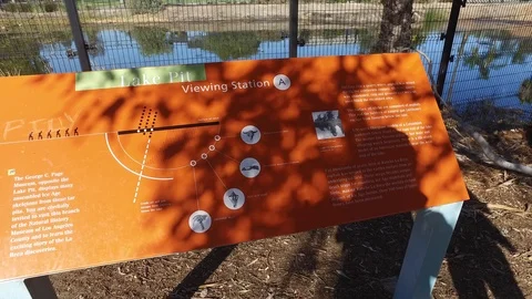 La Brea Tar Pits Stock Footage 85966854