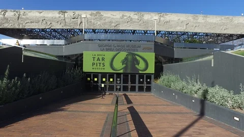 La Brea Tar Pits Stock Footage 85966880