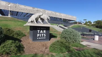 La Brea Tar Pits Stock Footage 85966883