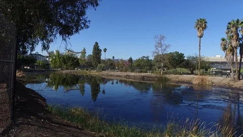La Brea Tar Pits Stockbeeldmateriaal 85966965
