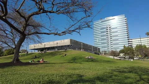 La Brea Tar Pits Los Angeles Stock Footage 167567570