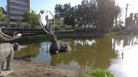 La Brea Tar Pits Los Angeles California 4k Stock Footage 167567923