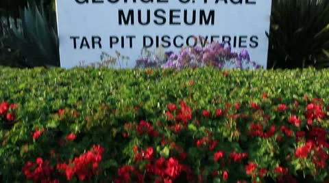 LA Brea tar pits museum sign in Los Angeles tilt up 2 4967 Stock Footage 18968664