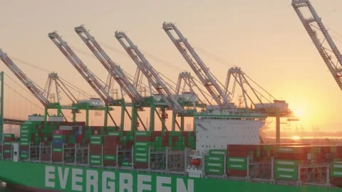LA, CA, USA. August 28, 2025: Cargo operations at Port Los Angeles Stock Footage 317386324