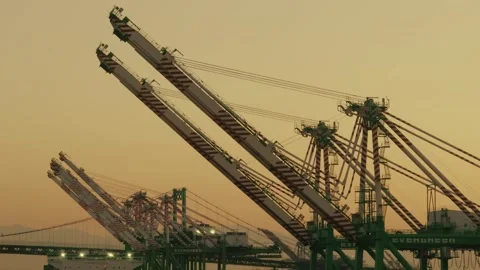 LA, CA, USA. August 29, 2025: Los Angeles Port Silhouetted ship-to-shore cranes Stock Footage 316118228