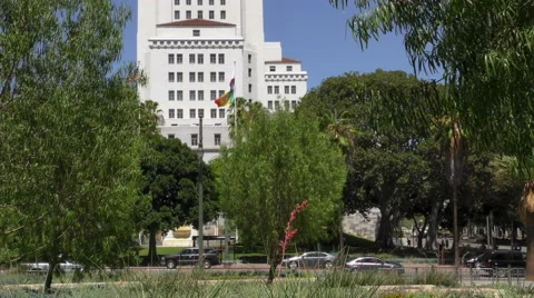 LA City Hall  Stock Footage 53139574
