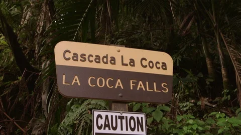 La Coca Fall - Sign Stock Footage 88225870