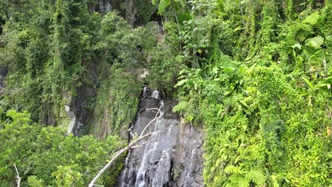 La Coca Falls in El Yunque Rainforest Puerto Rico 4K Aerial Drone Shot Stock Footage 150465288
