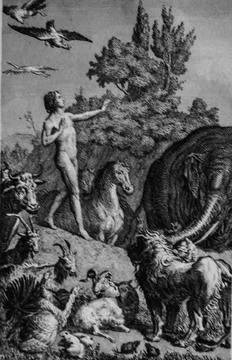 La Creation, Old Testament, the Bible by Lemaistre de Sacy, Publisher Guiraud Stock Illustration