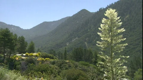 LA Stock Footage 860351