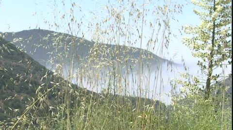 LA Stock Footage 860373