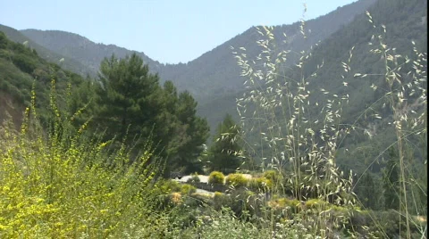 LA Stock Footage 860399