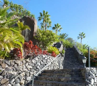 La gomera Stock Photos