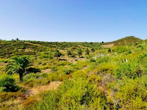 La gomera Stock Photos