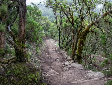 La Gomera Stock Photos