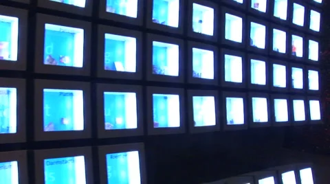 LA Griffth-041a Video stock 1070714