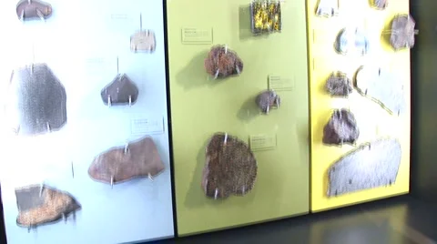 LA Griffth-125a Video stock 1070786