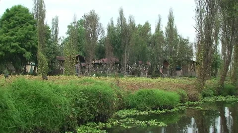 La Isla de la Munecas - Island of the dead Dolls. Xochimilco, Mexico. Stock Footage 48230134