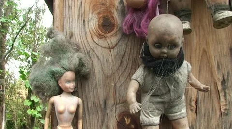 La Isla de la Munecas - Island of the dead Dolls. Xochimilco, Mexico. Stock Footage 48243504