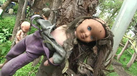 La Isla de la Munecas - Island of the dead Dolls. Xochimilco, Mexico. Stock Footage 48243851