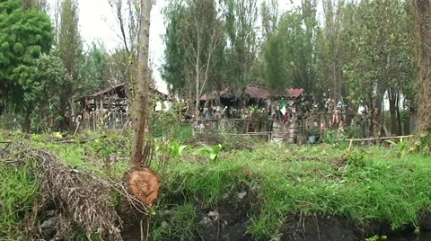 La Isla de la Munecas - Island of the dead Dolls. Xochimilco, Mexico. Stock Footage 48244053