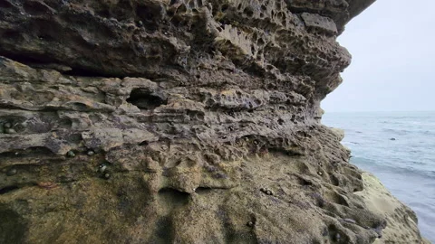 La Jolla cliff rock texture with holes close up Stock Footage 202054088
