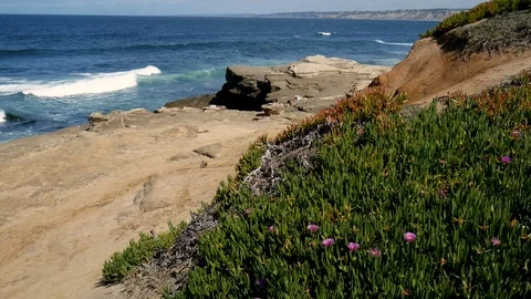 La Jolla coast with ocean waves background wide shot Stock Footage 91704492