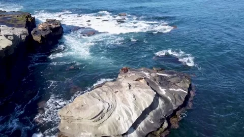 La Jolla Cove Beach Video stock 195804372