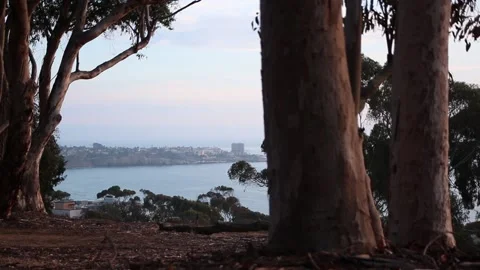 La Jolla Sunset Tracking Shot Stock Footage 166539085