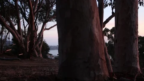 La Jolla Sunset Tracking Shot Stock Footage 166539206