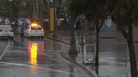 LA Package 2 | Cinematic Protest Meeting Gathering In Los Angeles (Slow Motion) Stock Footage 115135671