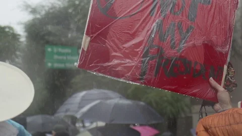 LA Package 9 | Black lives matter, climate change immigrants protest in rain Stock Footage 115158386