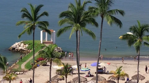 La Palapa, beach Stock Footage 81181280