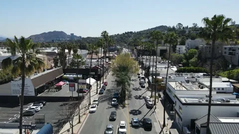 LA Palm Trees Stock Footage 166523529
