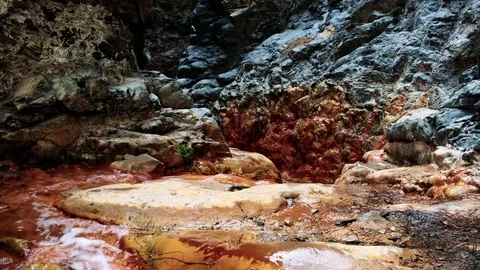 La palma cascada de los colores river Stock Footage 70167051