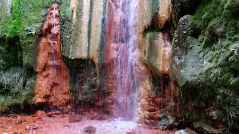 La palma cascada de los colores Stock Footage 70167056