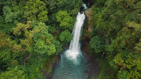 La Paz Waterfall flows through thick forest vegetation with walkway viewpoint Video stock 341349537