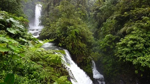 La Paz waterfall. Jungle in Costa Rica Stock Footage 101835839
