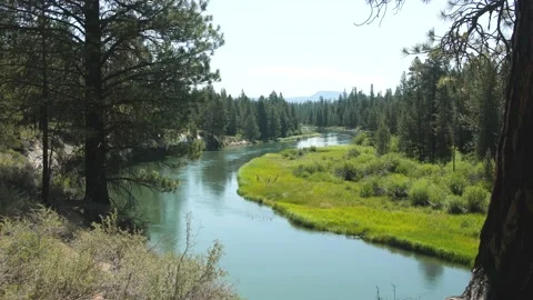 La Pine State Park Oregon Stock Footage 144413384