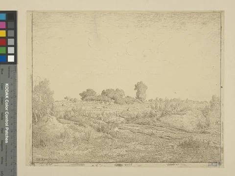 La plaine de la plante Ã Biau. Rousseau, ThÃ odore (1812-1867). 1862. Aver. Stock Photos