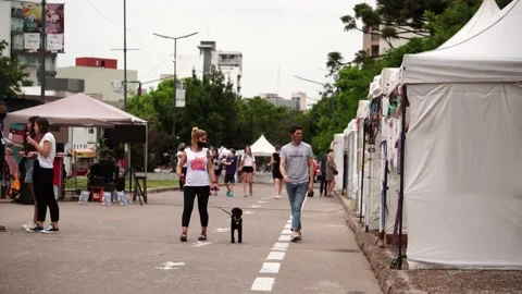 La Plata, Buenos Aires Prov., Argentina;First fair at the park after quarantine Stock Footage 143285044
