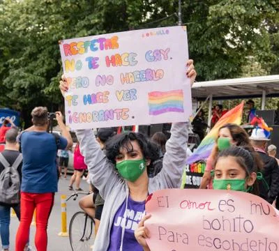 La Plata, Buenos Aires Province, Argentina; 12 04 2020: Gay pride parade Stock Photos